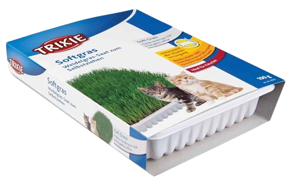 Trixie - Kattgräs, mjukt, vitaminberikad, med odlingslåda, ca.100 g - Katt - ZOO.se