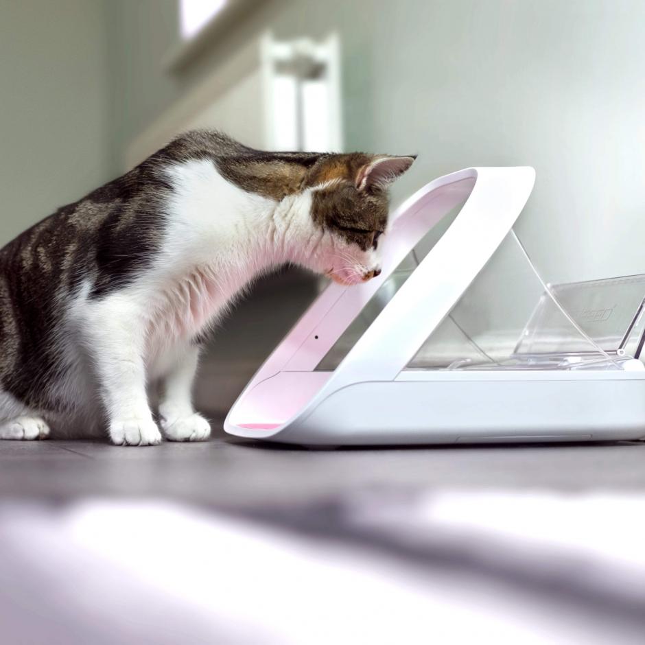 SureFeed Connect Foderautomat med Mikrochip miljöl