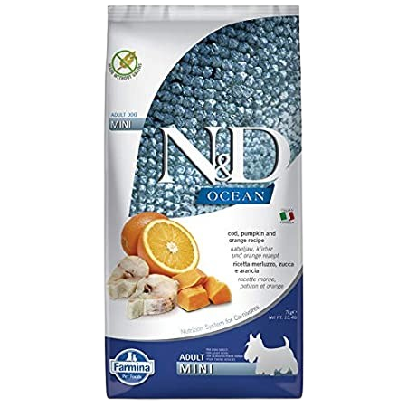 Dog N&D Pumpkin Codfish & Orange Adult Mini 7 kg