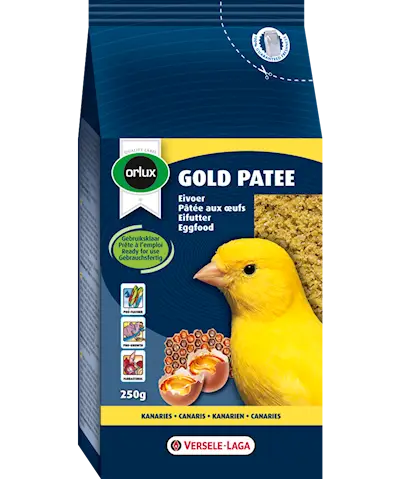 Orlux Gold Patee Canary (Kanarialintu)
