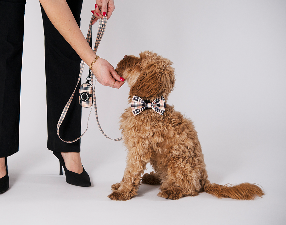 20652, 20653, 20662, 20663, 20682.png