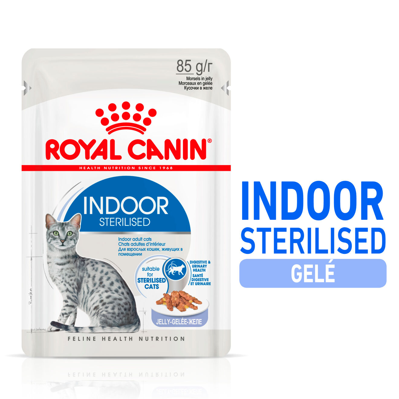 Royal Canin Steriloitu hyytelö 12x85g sisätiloissa