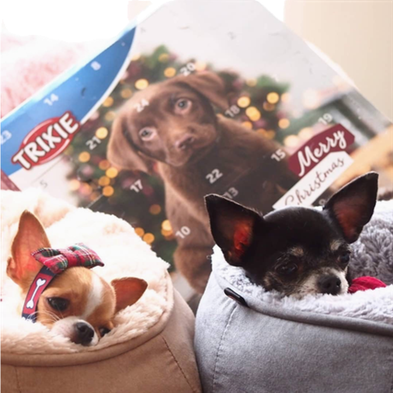 Trixie Advent Calendar for Dogs Zoo.se