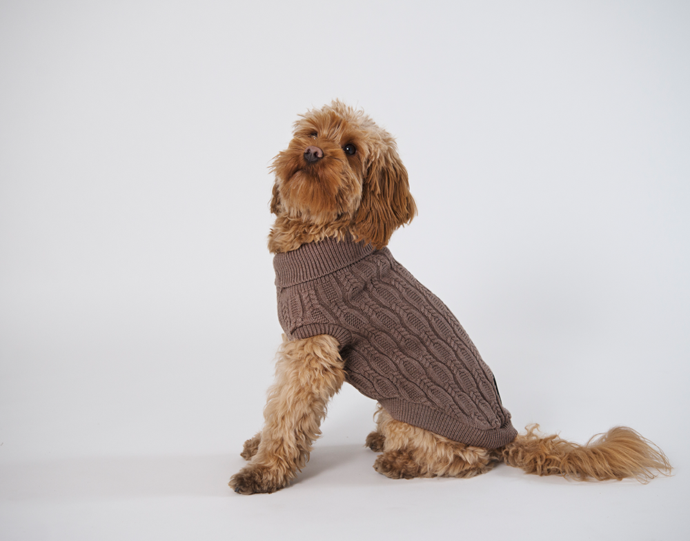 20535, 20536, 20537, 20538, 20539.png