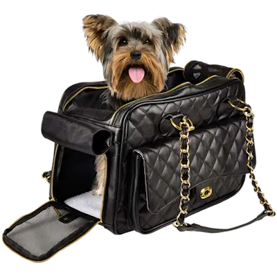 Carrying Bag Gigi,, Gold Chain