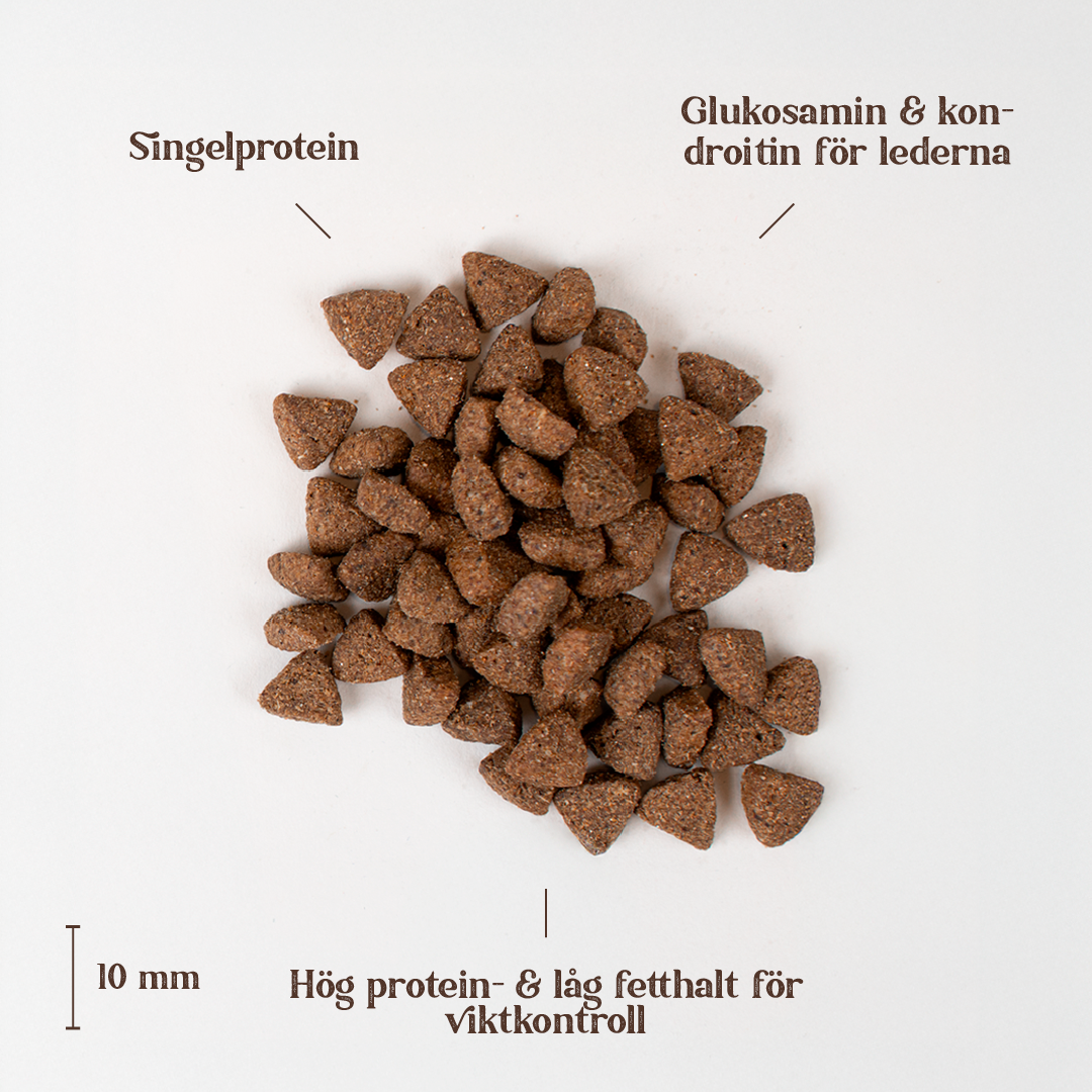 Turkey senior all breed.png