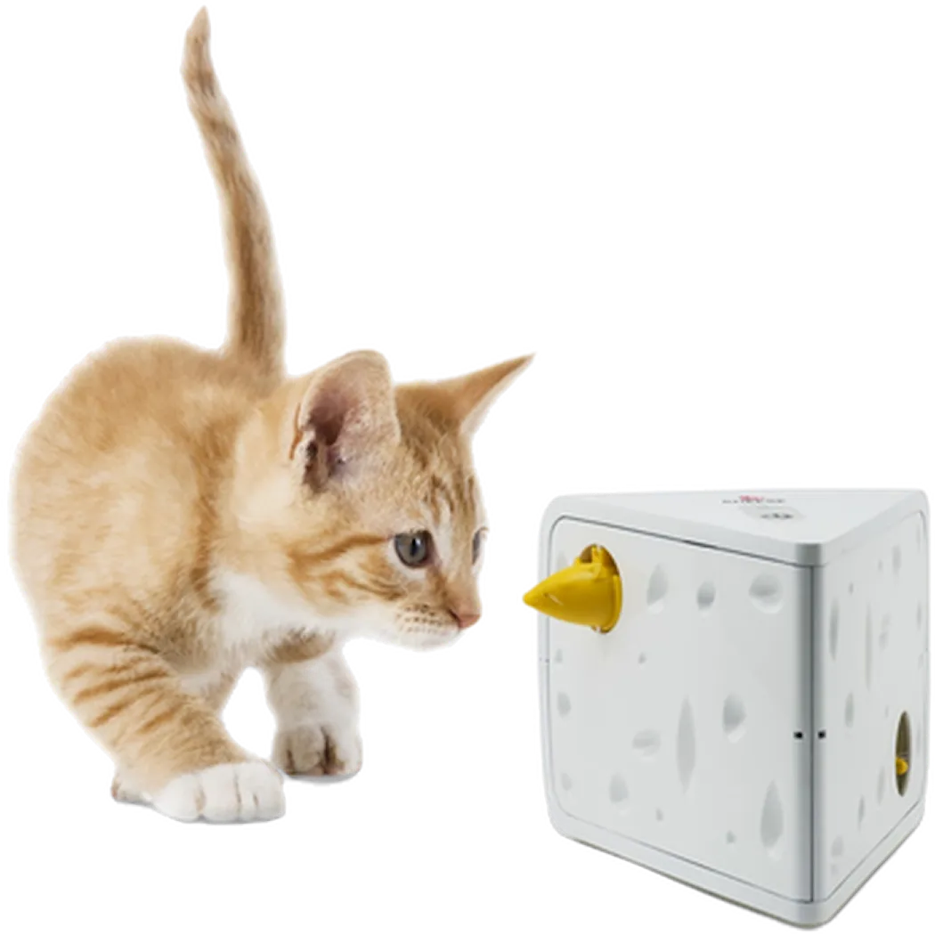 Portable Cheese Automatic Cat Teaser 1 st
