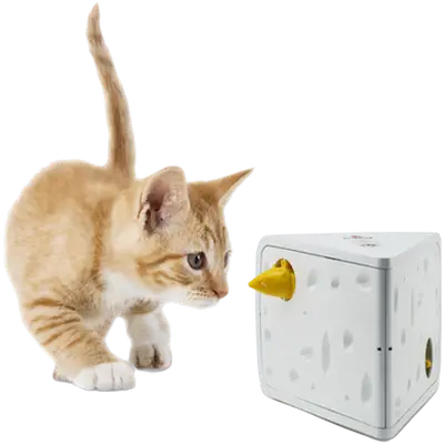 Portable Cheese Automatic Cat Teaser