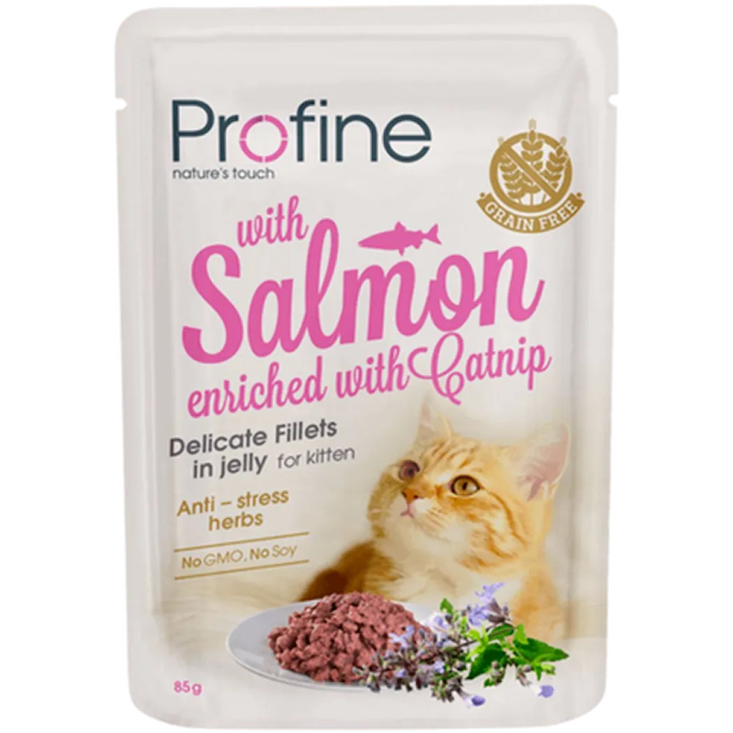 Profine Cat Wet Food Pouches Kitten Fillets in Jelly with Salmon Enriched with Catnip