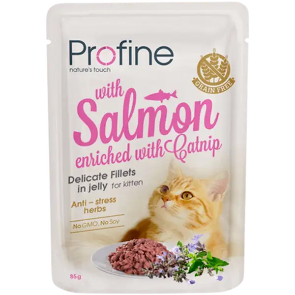 Cat Wet Food Pouches Kitten Fillets in Jelly with Salmon Enriched with Catnip 85g x 24st