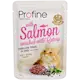Cat Wet Food Pouches Kitten Fillets in Jelly with Salmon Enriched with Catnip