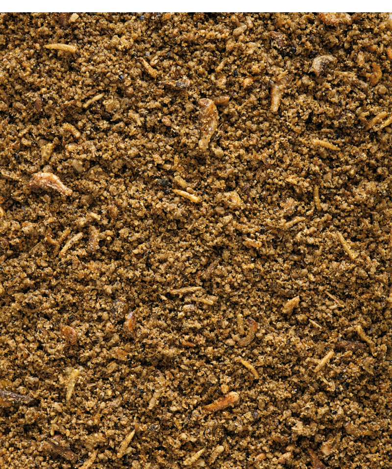 verselelaga_nutribird_insectpatee_softfood_birds_a