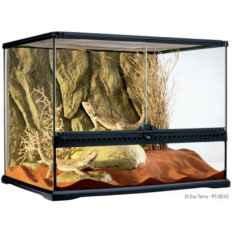 Exoterra Glass Terrarium Natural Large/Wide - Advanced Reptile Habitat