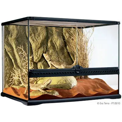Glass Terrarium Natural Medium/Wide - Advanced Reptile Habitat