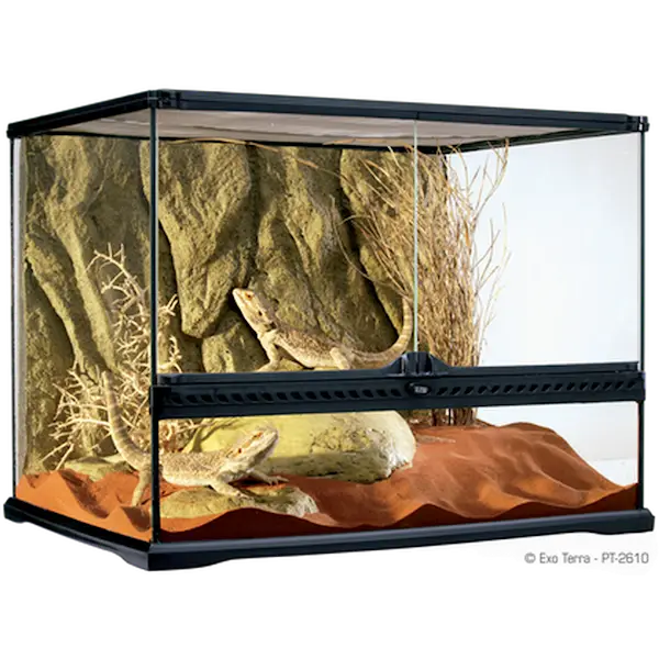 Glass Terrarium Natural Large/Wide - Advanced Reptile Habitat