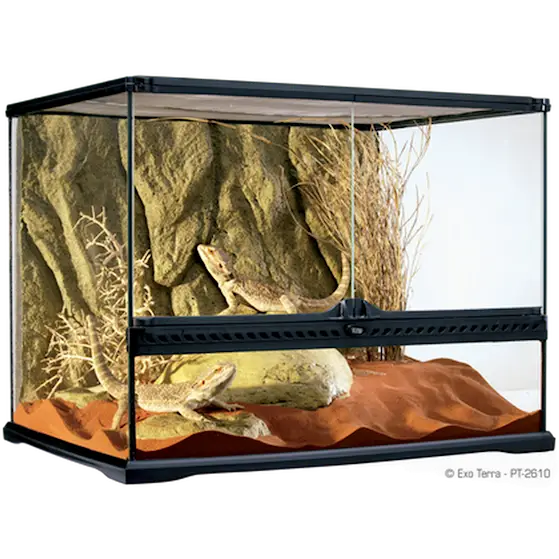 Glass Terrarium Natural Medium/Wide - Advanced Reptile Habitat Transparent 60 x 45 x 45 cm