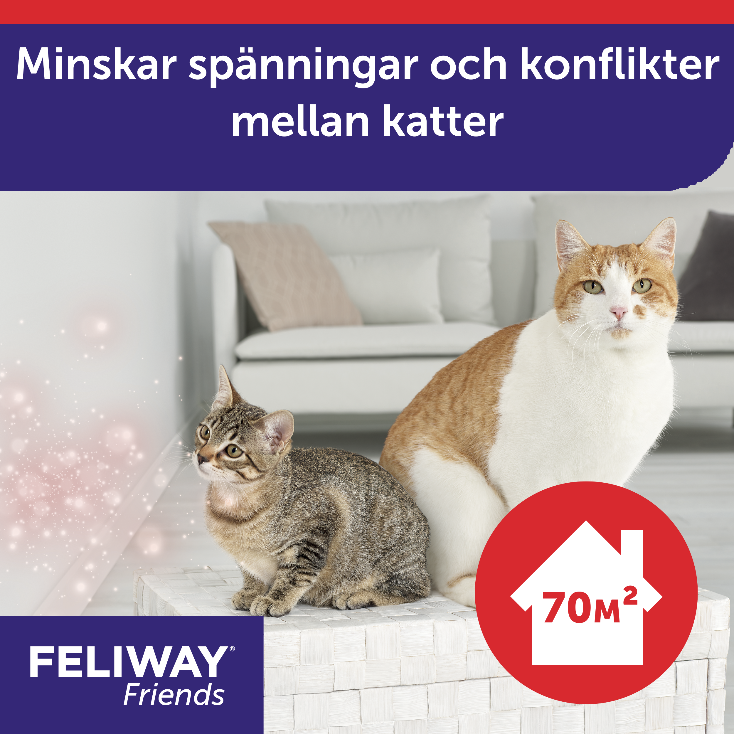 Feliway Friends doftavgivare_5_3411112251476.png