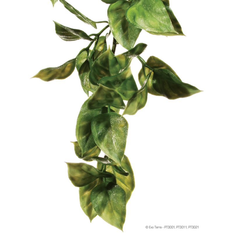 Exoterra - Amapallo - Hanging Rainforest/Jungle Plants Green Medium - Reptil - ZOO.se