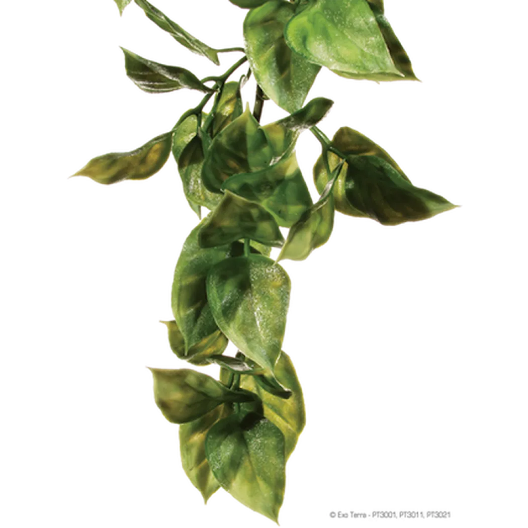 Exoterra Amapallo - Hanging Rainforest/Jungle Plants Green Medium