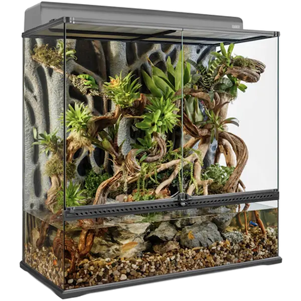 Glass Terrarium Natural Large/X-Tall - Advanced Reptile Habitat