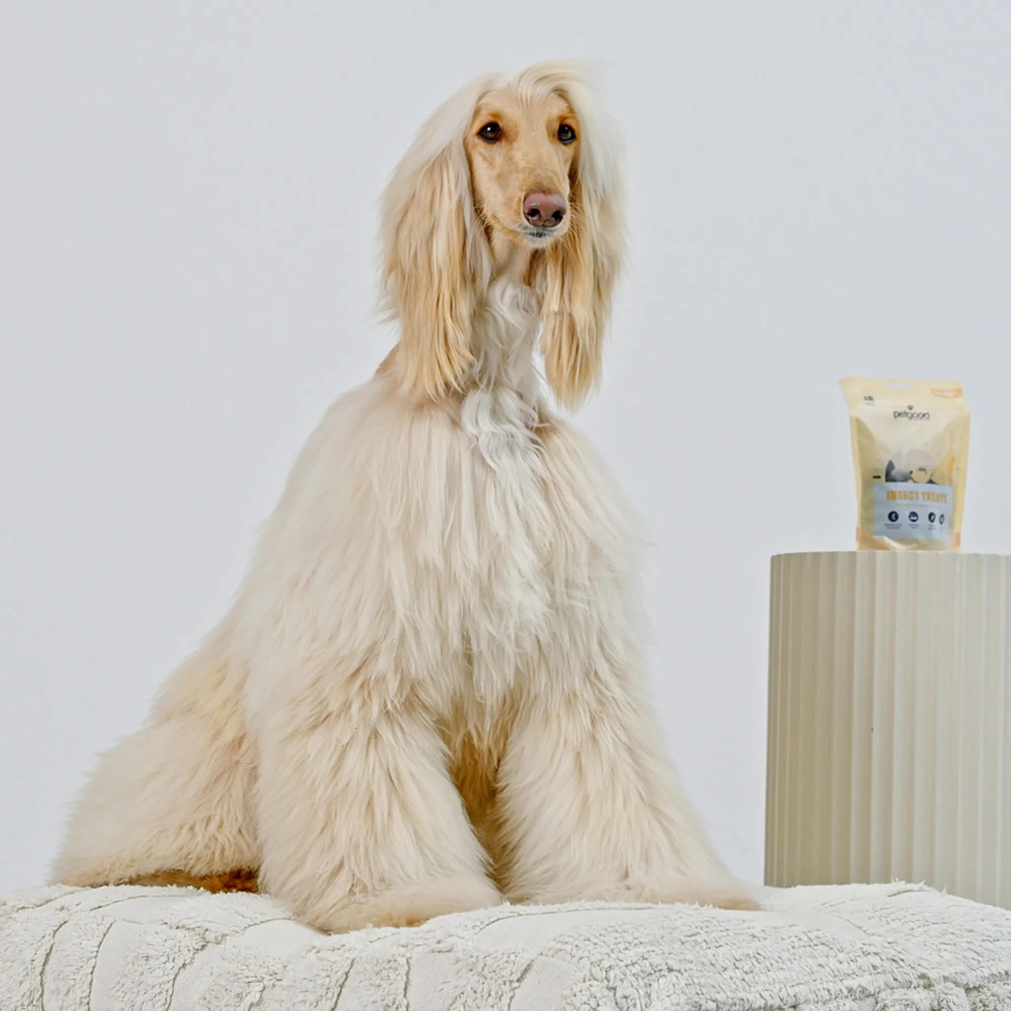 insect-based-shine-treats-04 (1).jpg