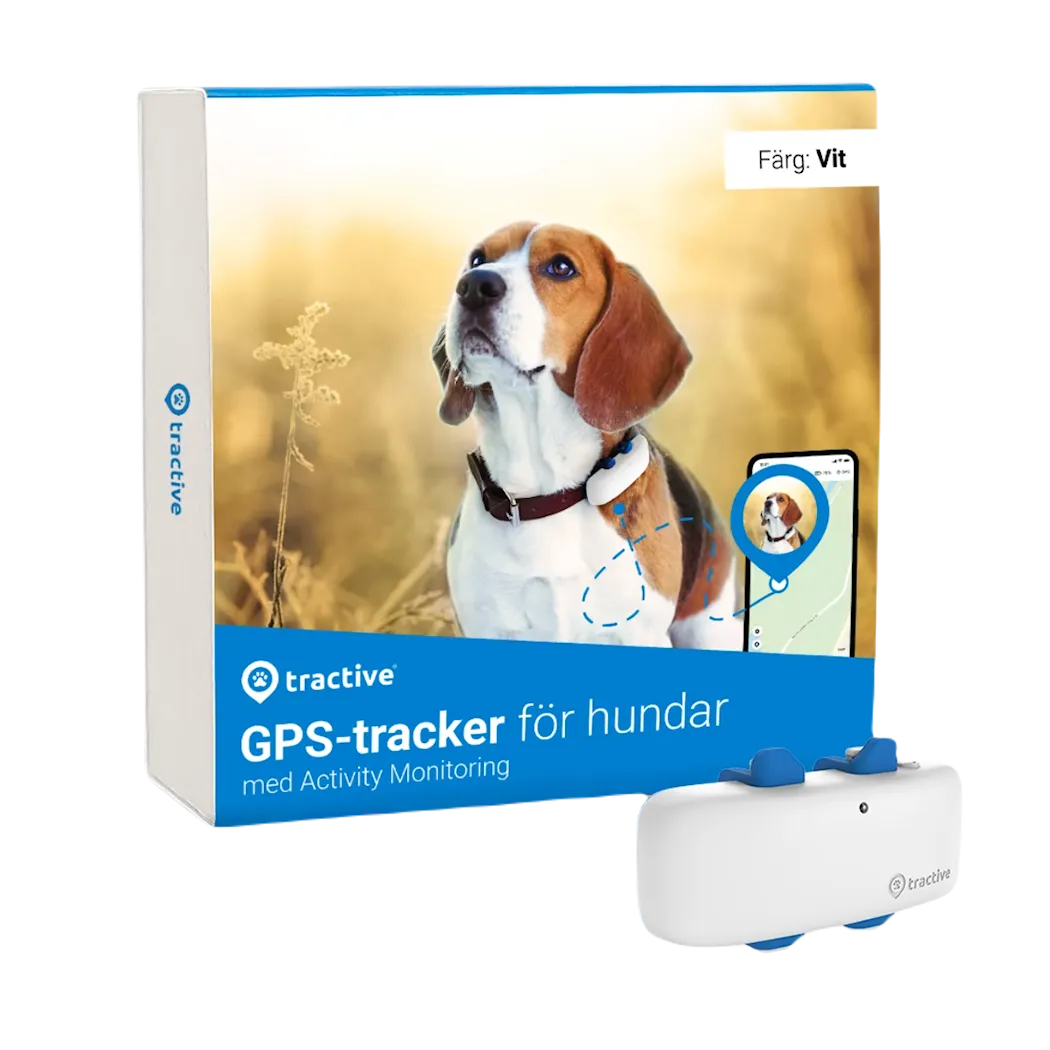 Tractive DOG 4 – GPS-tracker for hund og helseovervåking – Hvit