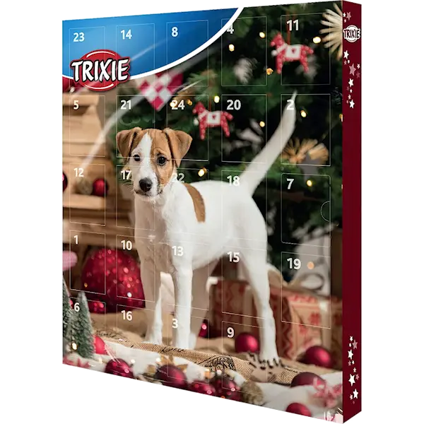 Advent Calendar for Dogs 2021