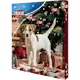 Advent Calendar for Dogs 24 st Luckor