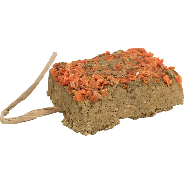 Clay Brick Carrots