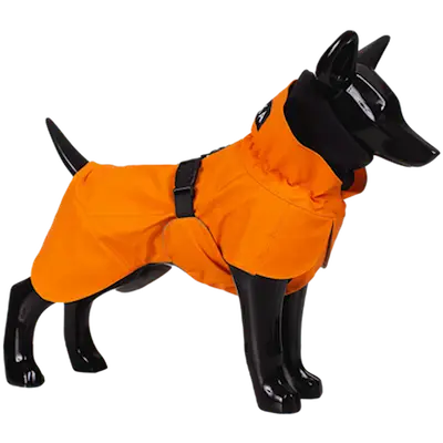 Recovery Raincoat for Dogs