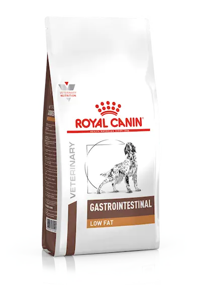 Gastro Intestinal Low Fat torrfoder för hund
