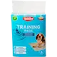 Nobby Doggy-Trainer Pads