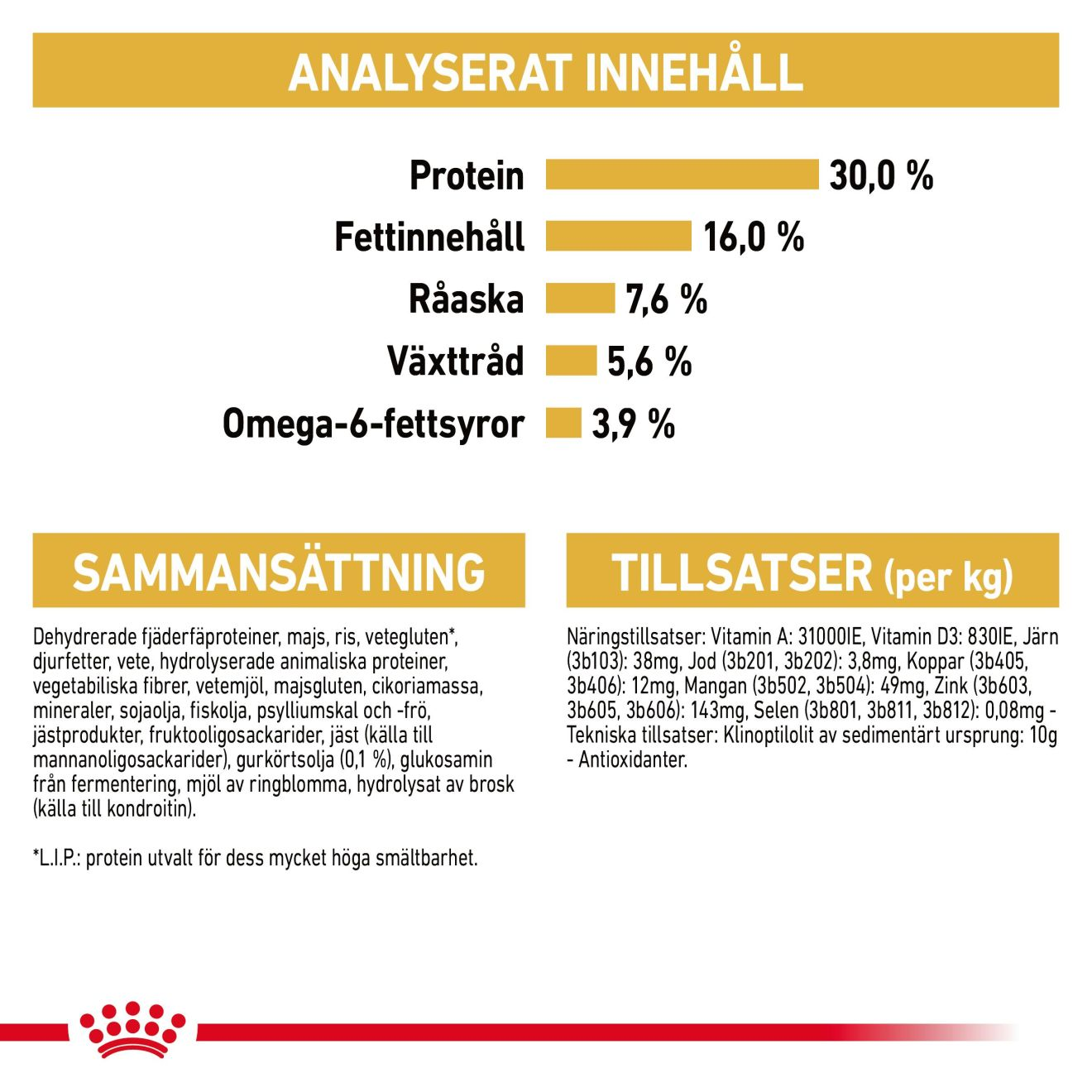 Norwegian Forest Cat Adult