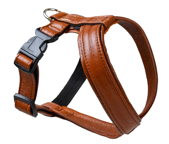 Gustaf och Evita - Lädersele Pro Cognac Nr 4 - Hund - Hund - Halsband - ZOO.se