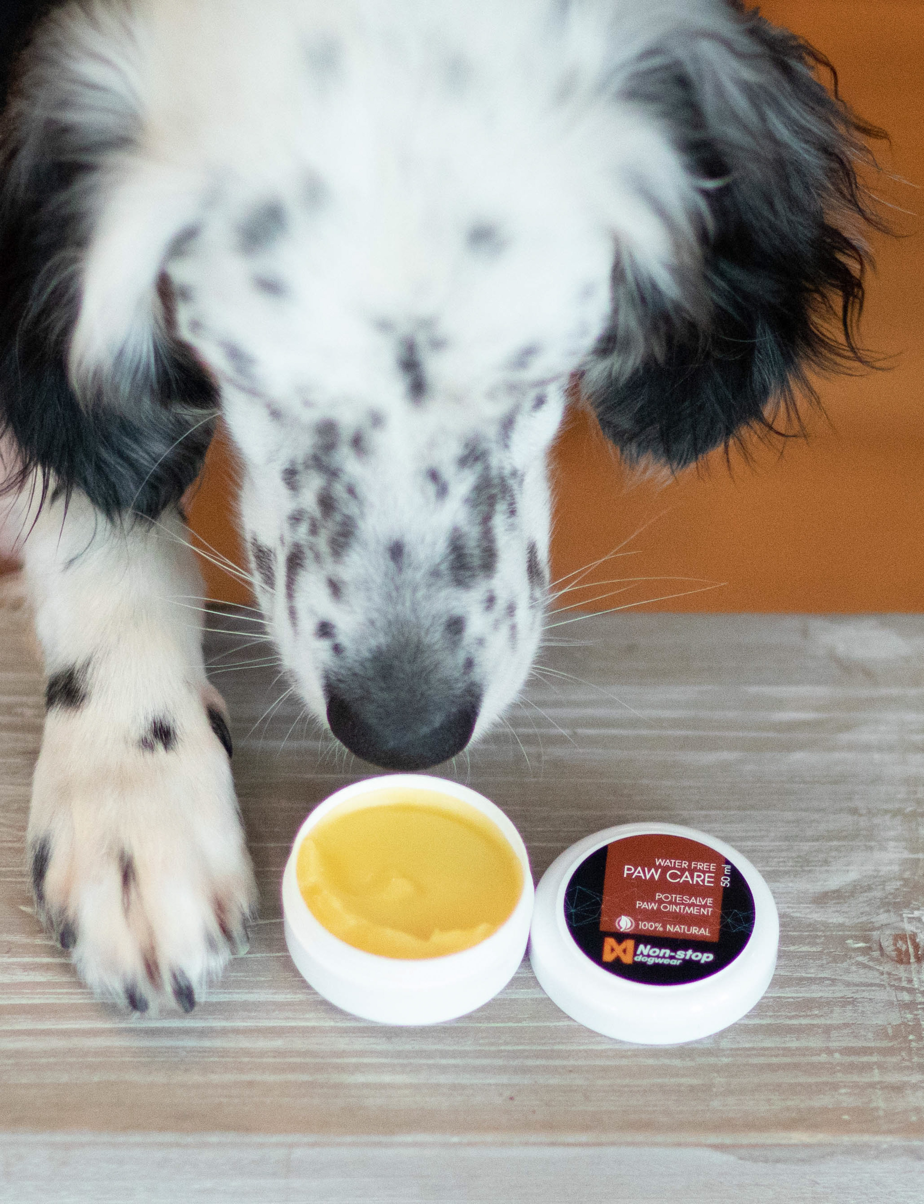 nonstopdogwear_b2b_Paw Care_AX9A2779_1.jpg