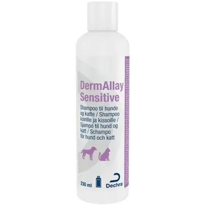 DermAllay Sensitive Hund & Katt Shampoo