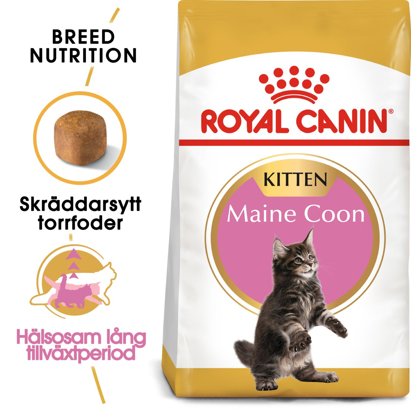Royal Canin Maine Coon Kitten kissanpennun kuivaruoka