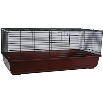 GD EASY Marsvinsbur/Kaninbur Mix