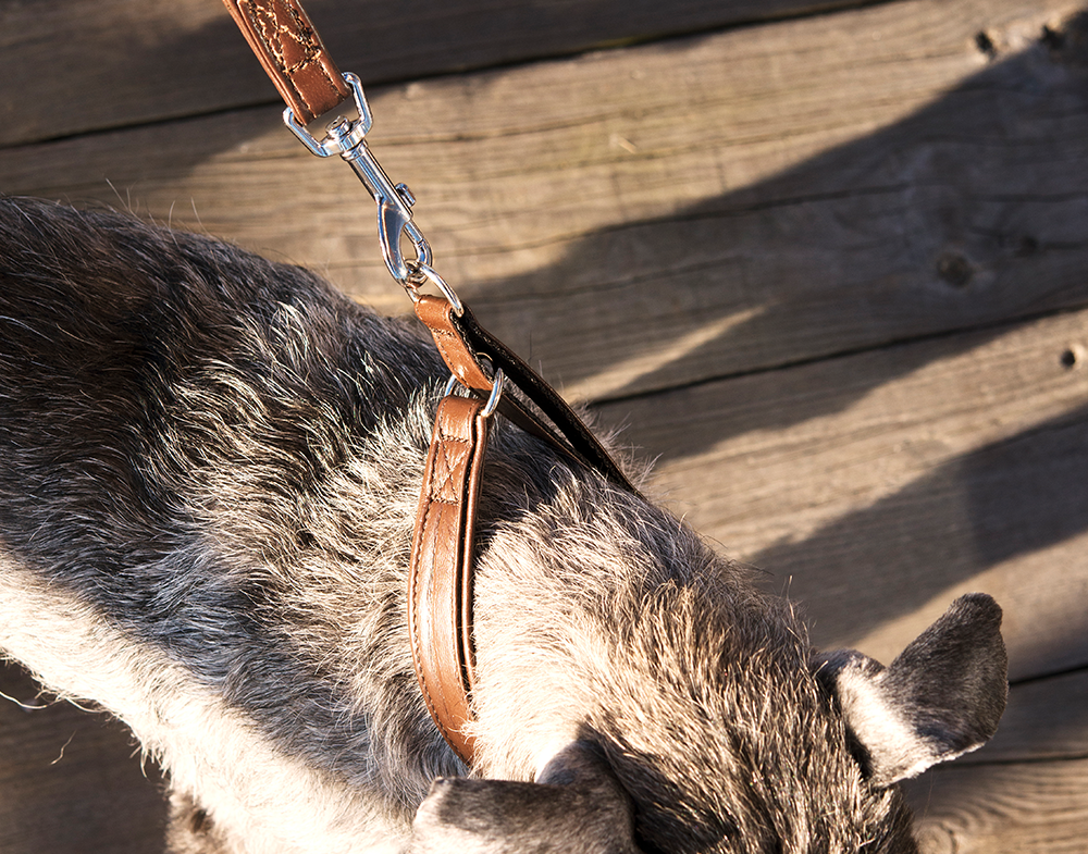 GE 210520, GE 210525, GE 210527, GE 210530, GE2105