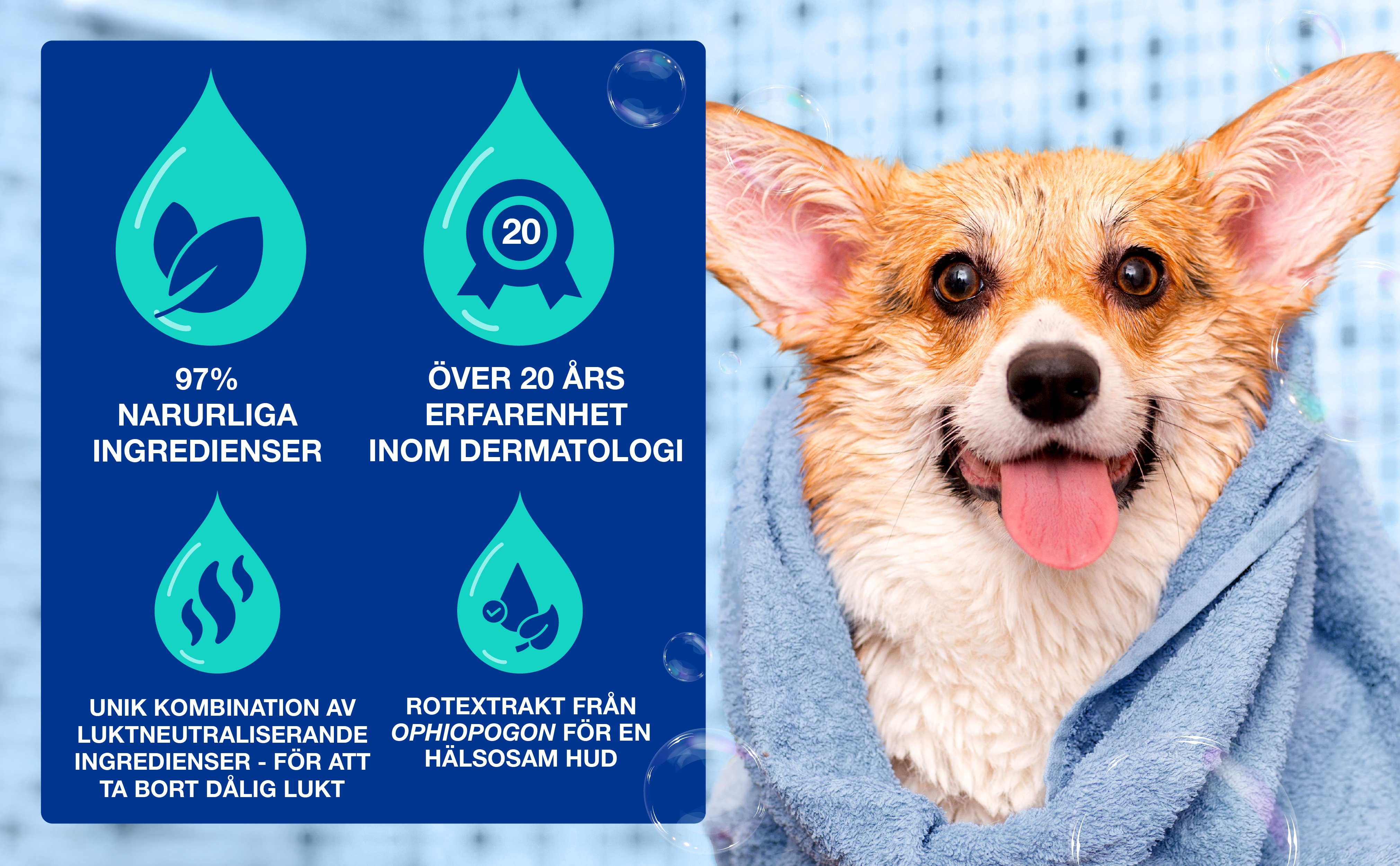 Odor-control-schampo-3411113154189-SE_BTF_Banner 3