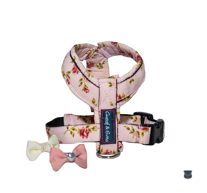 Gustaf och Evita HundSele Pro Victorian