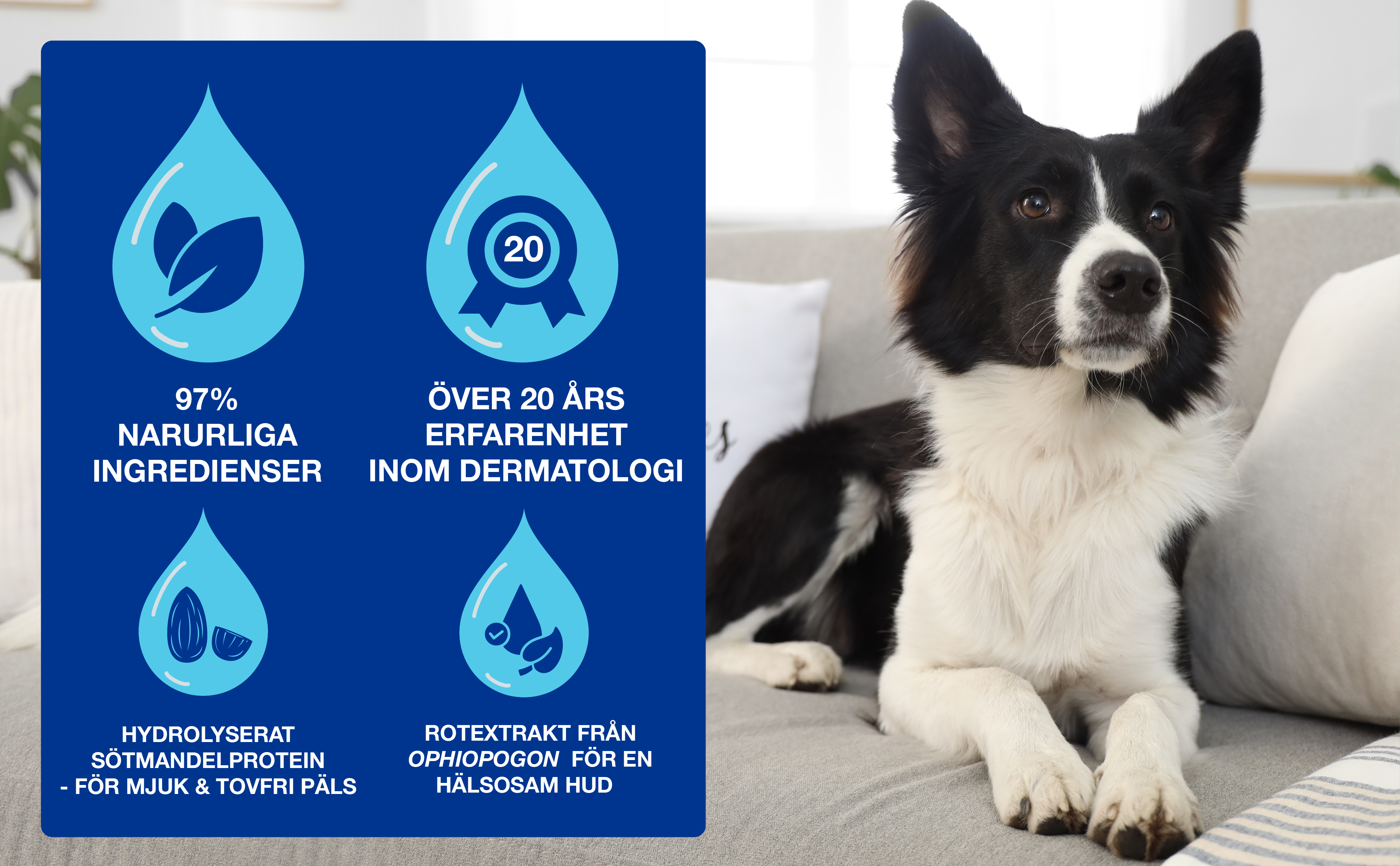 Quick-refresh-leave-on-mousse-3411113154271-SE_BTF