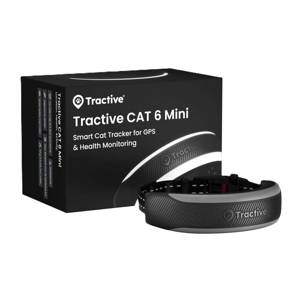 CAT 6 Mini GPS Svart