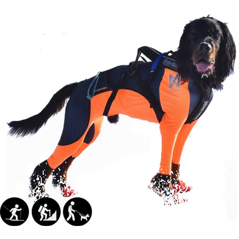 Protector Snow, Male Orange X-Small - Hund - Hundkläder - Hundoveraller & Regnoveraller - Non-Stop Dogwear - ZOO.se