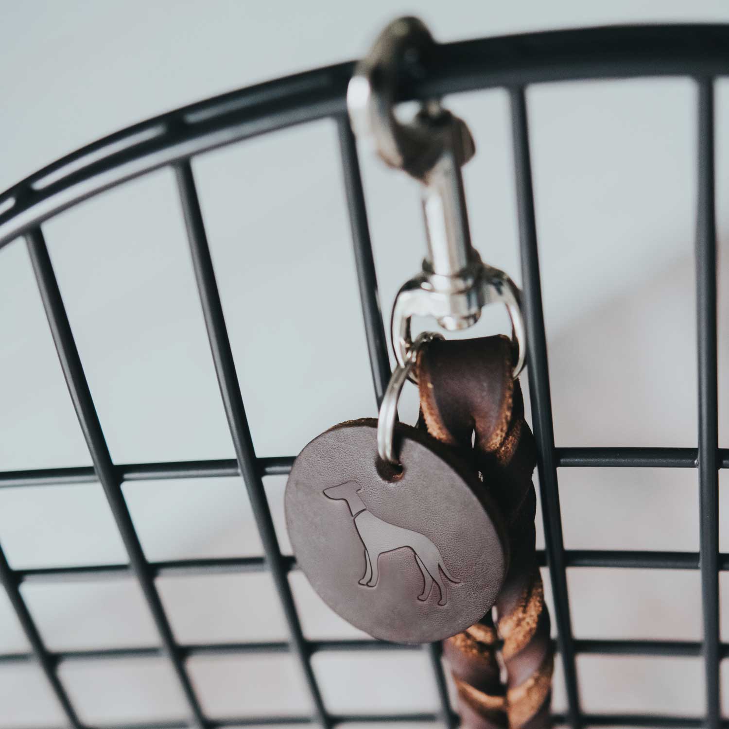 hunter_Dog Leash Solid Education_image_004.jpg