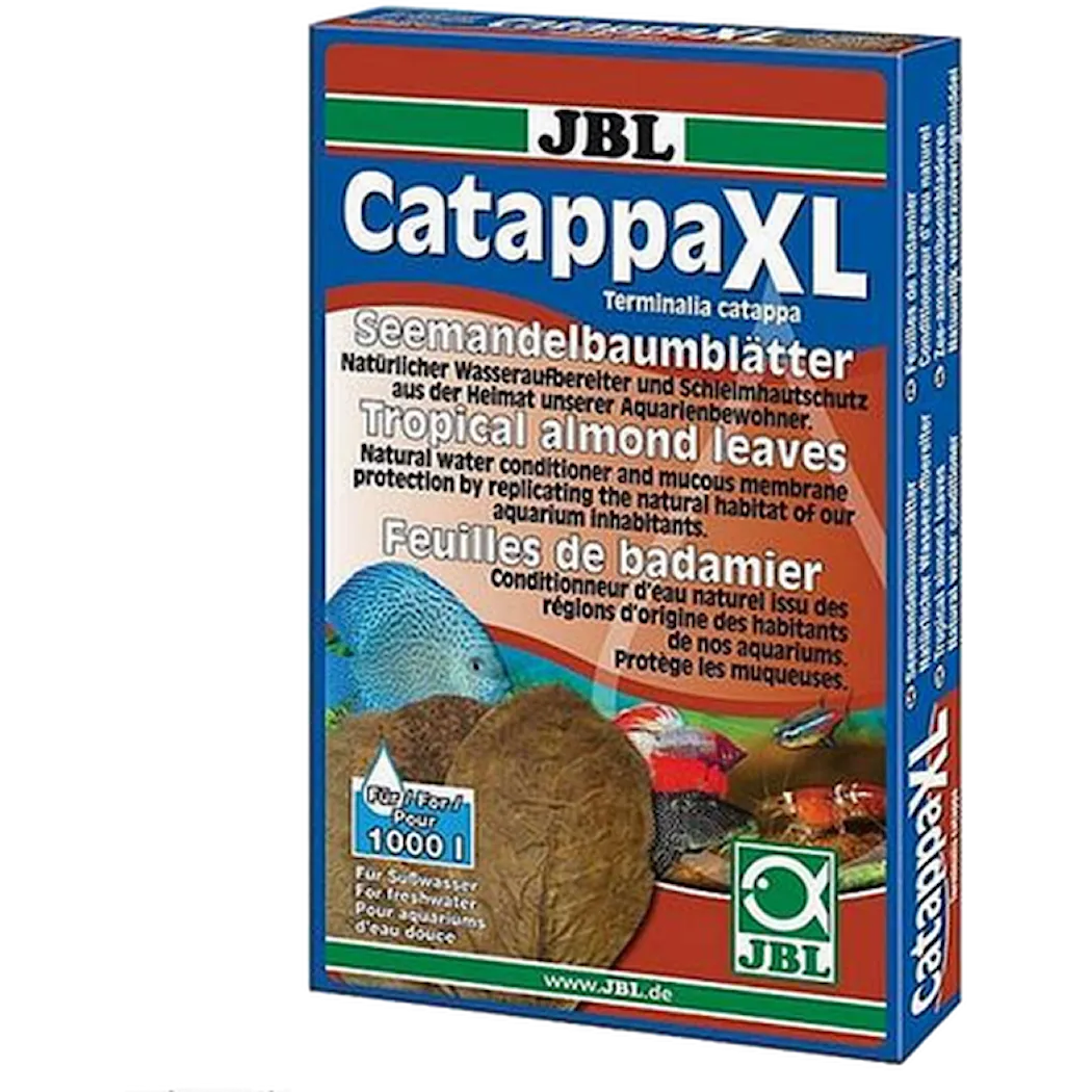 Catappa Tropical Almond Leaves for Freshwater X-Large
