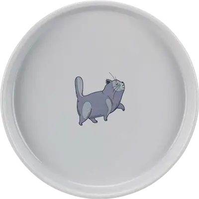 Bowl Flat & Wide Cat Ceramic