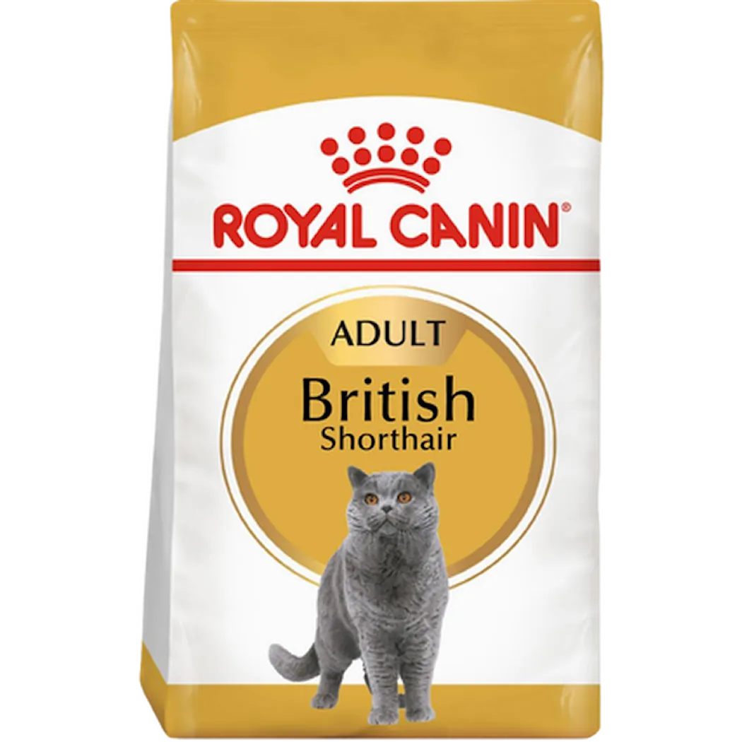 British Shorthair Adult Tørrfôr til katt