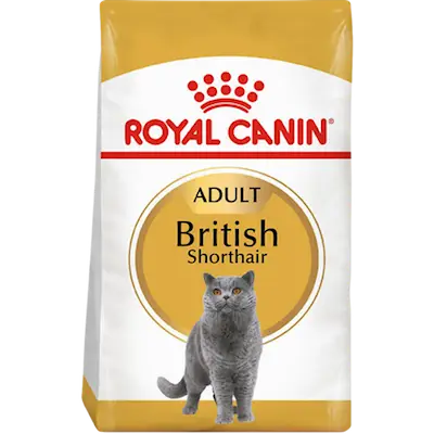 British Shorthair Adult Torrfoder för katt