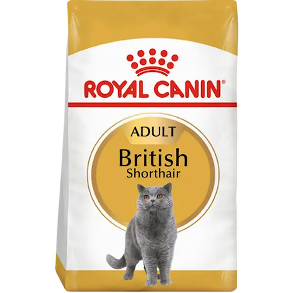 British Shorthair Adult Tørrfôr til katt